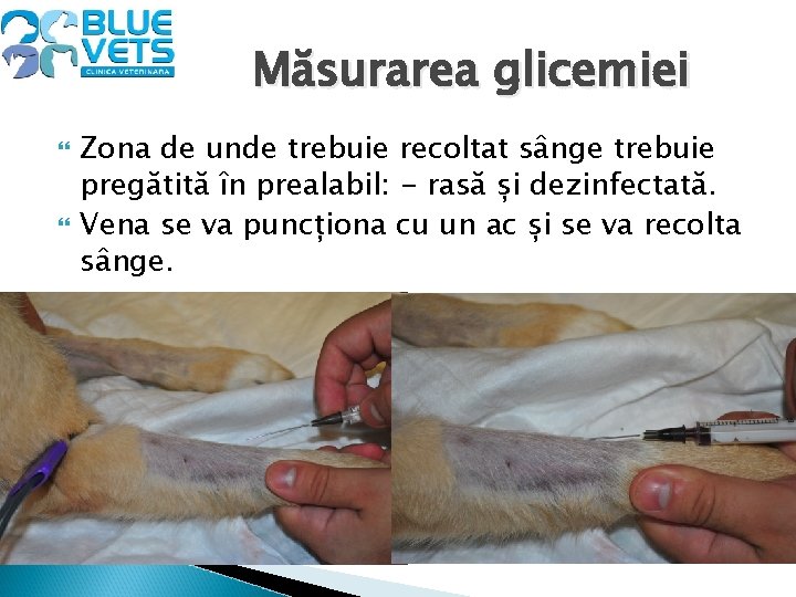 Măsurarea glicemiei Zona de unde trebuie recoltat sânge trebuie pregătită în prealabil: - rasă