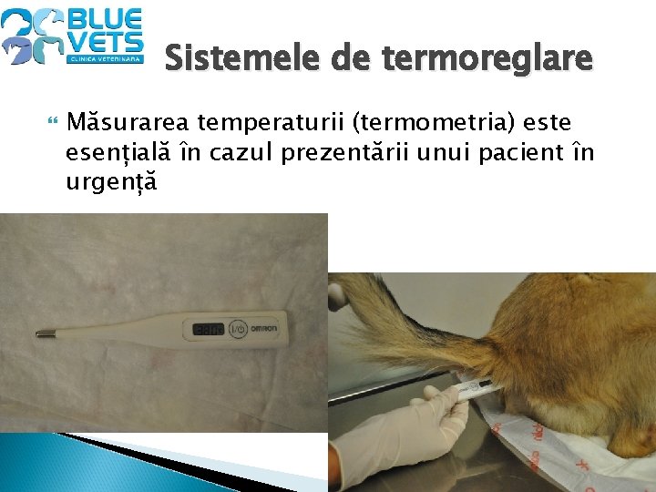 Sistemele de termoreglare Măsurarea temperaturii (termometria) este esențială în cazul prezentării unui pacient în