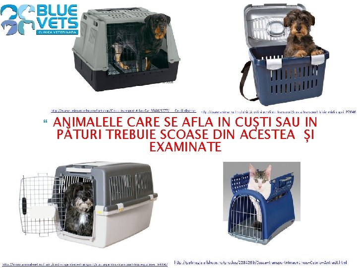  ANIMALELE CARE SE AFLĂ ÎN CUȘTI SAU ÎN PĂTURI TREBUIE SCOASE DIN ACESTEA