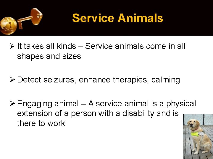 Service Animals Ø It takes all kinds – Service animals come in all shapes