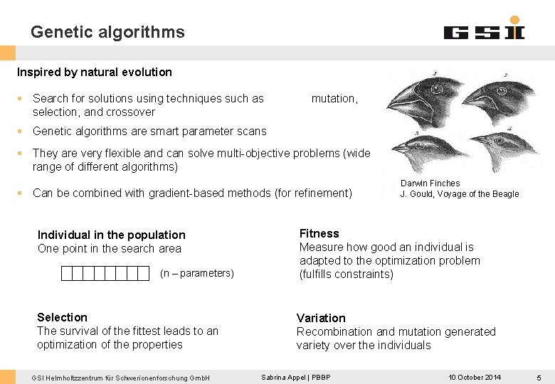 Genetic algorithms Inspired by natural evolution § Search for solutions using techniques such as