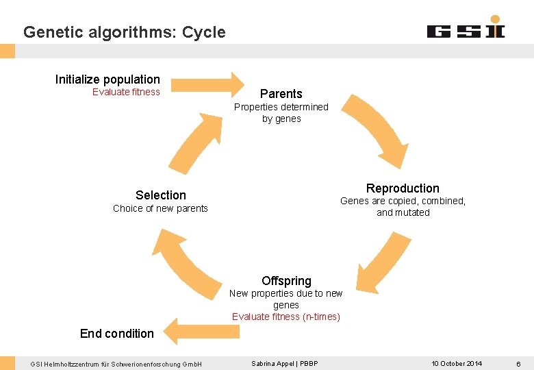 Genetic algorithms: Cycle Initialize population Evaluate fitness Parents Properties determined by genes Reproduction Selection