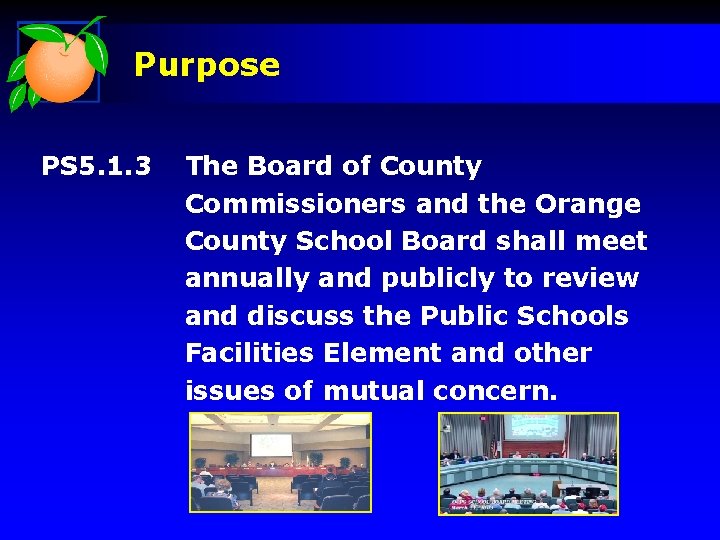 Purpose PS 5. 1. 3 The Board of County Commissioners and the Orange County