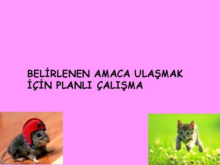 BELİRLENEN AMACA ULAŞMAK İÇİN PLANLI ÇALIŞMA 