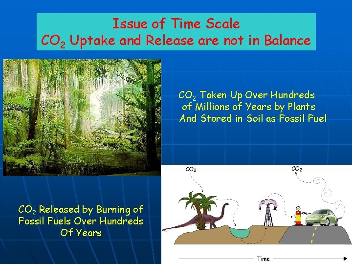 Issue of Time Scale CO 2 Uptake and Release are not in Balance CO