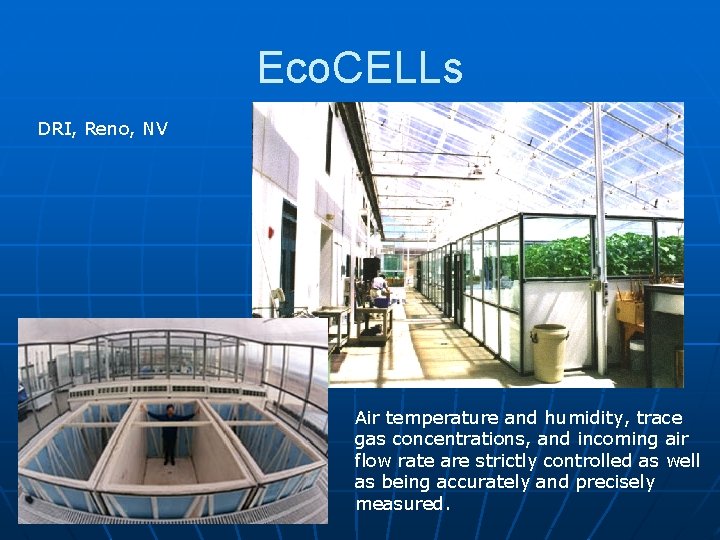 Eco. CELLs DRI, Reno, NV Air temperature and humidity, trace gas concentrations, and incoming