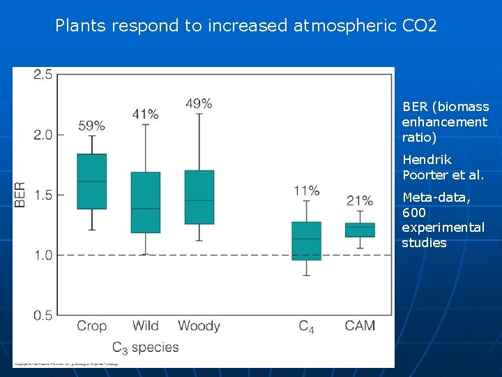 Plants respond to increased atmospheric CO 2 BER (biomass enhancement ratio) Hendrik Poorter et