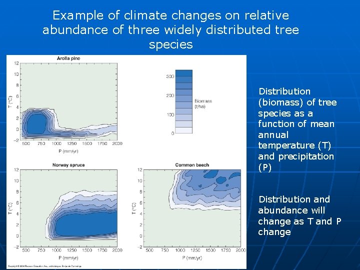 Example of climate changes on relative abundance of three widely distributed tree species Distribution