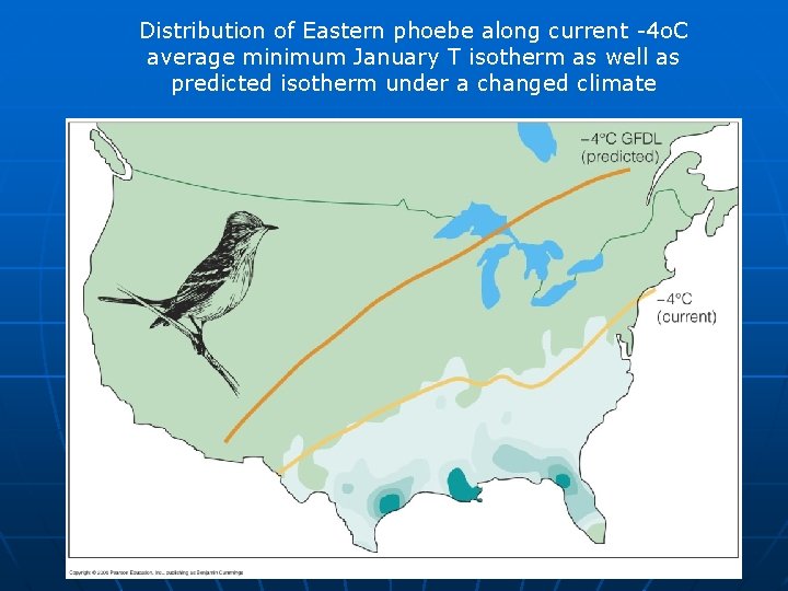 Distribution of Eastern phoebe along current -4 o. C average minimum January T isotherm