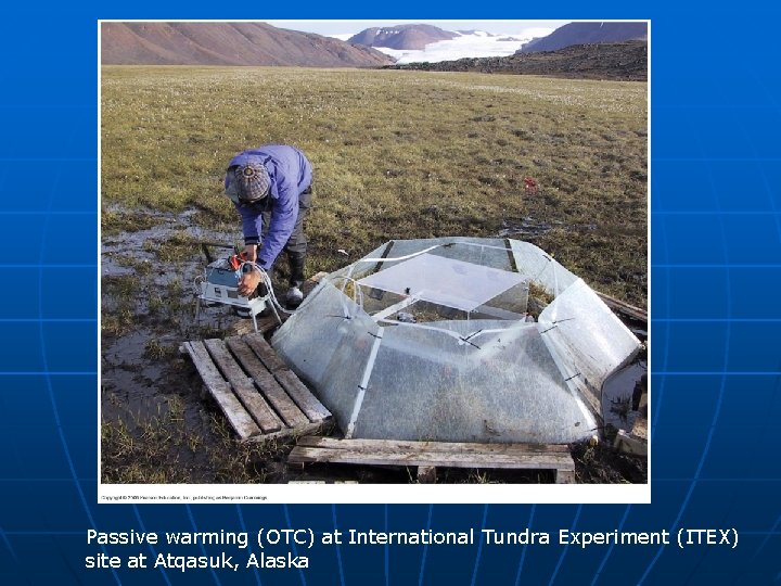 Passive warming (OTC) at International Tundra Experiment (ITEX) site at Atqasuk, Alaska 