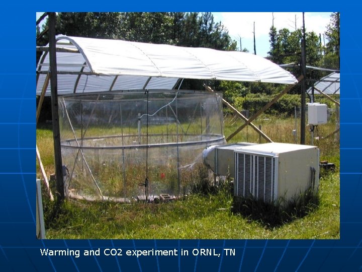 Warming and CO 2 experiment in ORNL, TN 