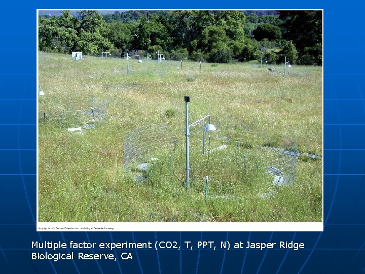 Multiple factor experiment (CO 2, T, PPT, N) at Jasper Ridge Biological Reserve, CA