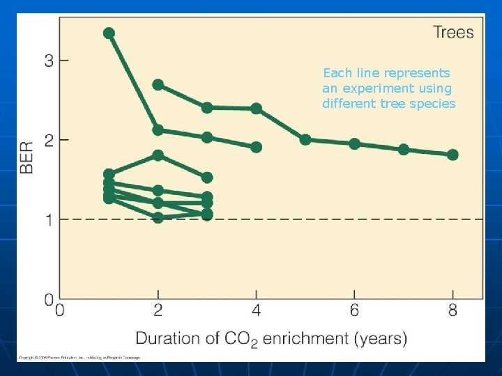 Each line represents an experiment using different tree species 