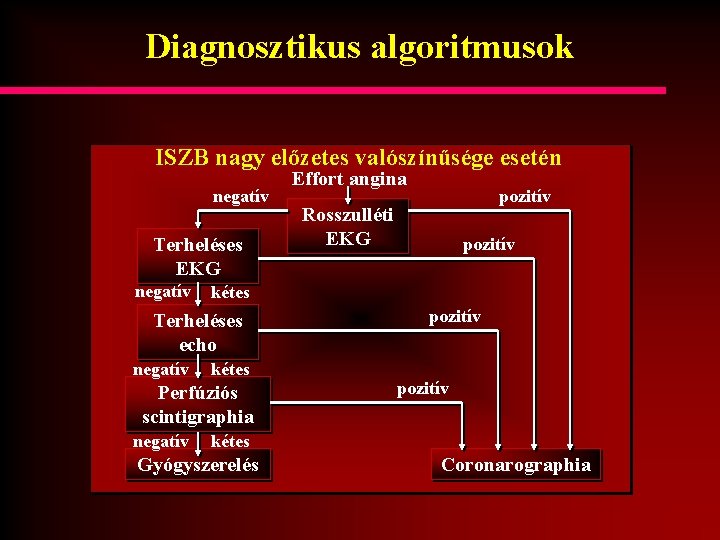 Diagnosztikus algoritmusok ISZB nagy előzetes valószínűsége esetén negatív Terheléses EKG negatív kétes Perfúziós scintigraphia