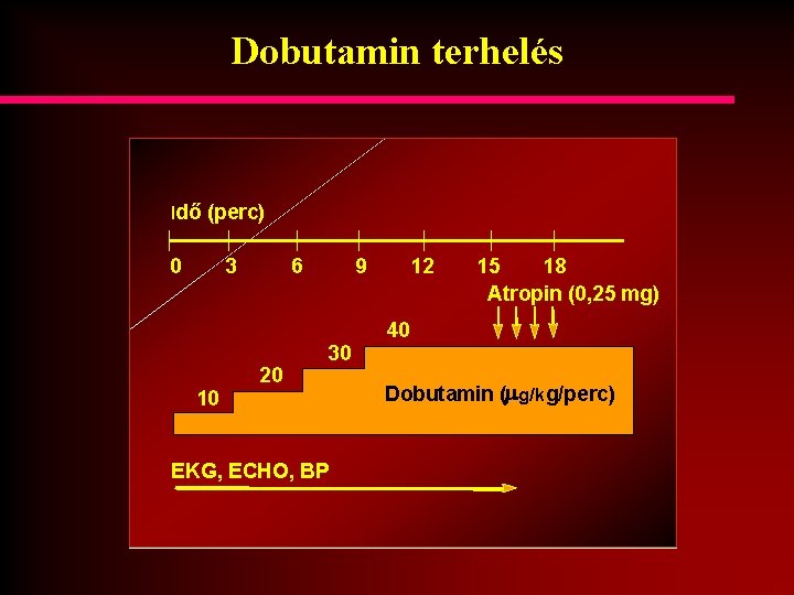 Dobutamin terhelés Idő (perc) 0 3 10 6 20 9 30 EKG, ECHO, BP