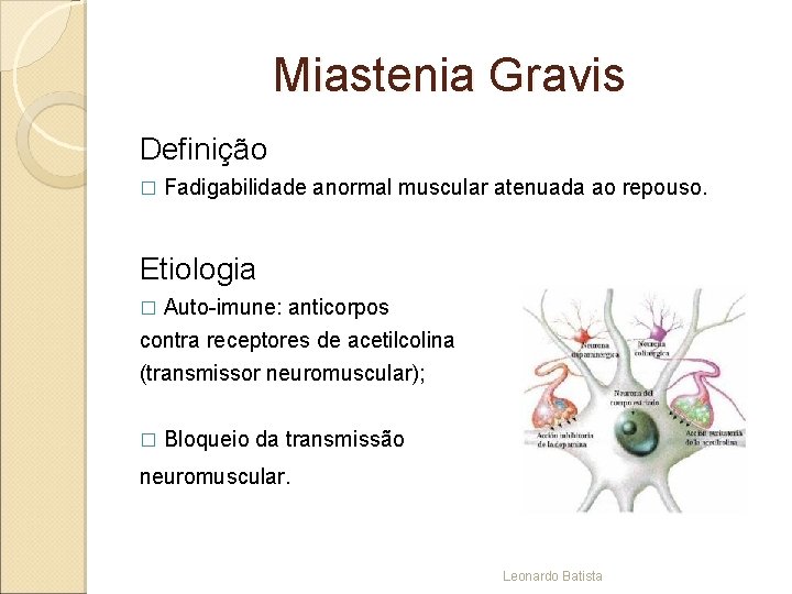 Miastenia Gravis Definição � Fadigabilidade anormal muscular atenuada ao repouso. Etiologia Auto-imune: anticorpos contra