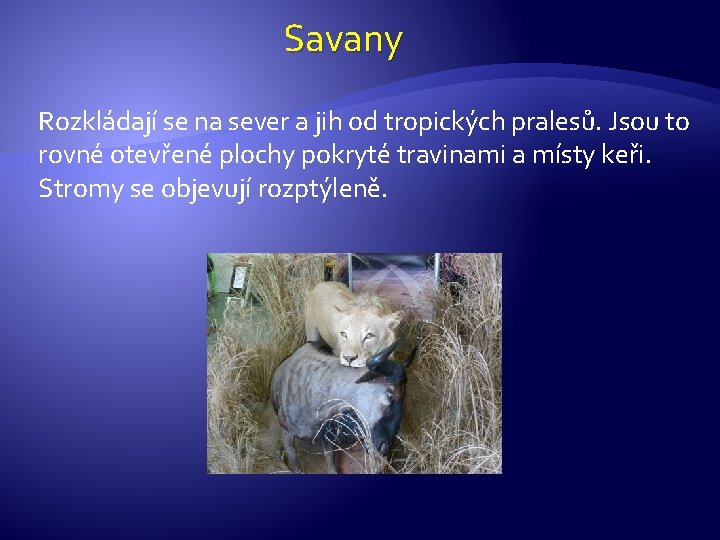 Savany Rozkládají se na sever a jih od tropických pralesů. Jsou to rovné otevřené