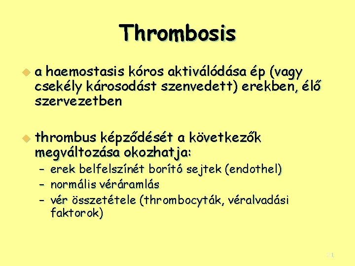 Thrombosis u u a haemostasis kóros aktiválódása ép (vagy csekély károsodást szenvedett) erekben, élő