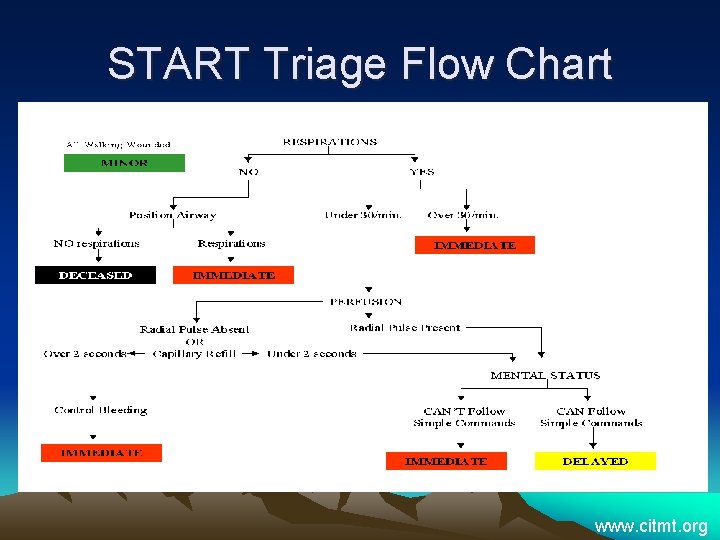 START Triage Flow Chart www. citmt. org 