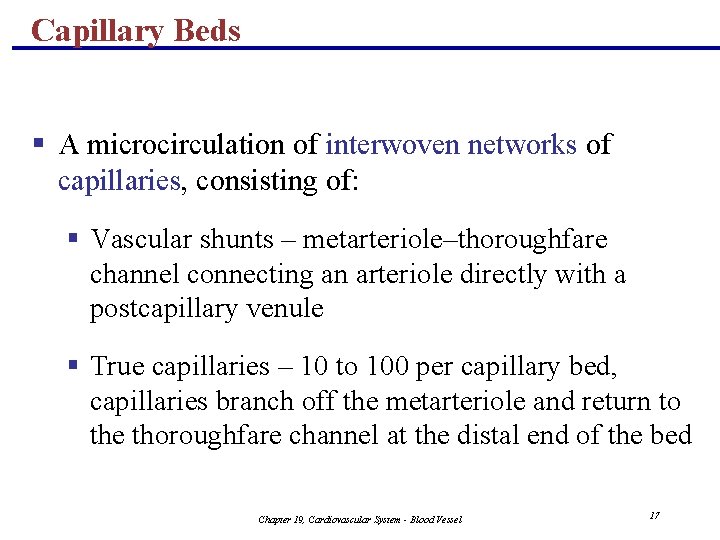 Capillary Beds § A microcirculation of interwoven networks of capillaries, consisting of: § Vascular