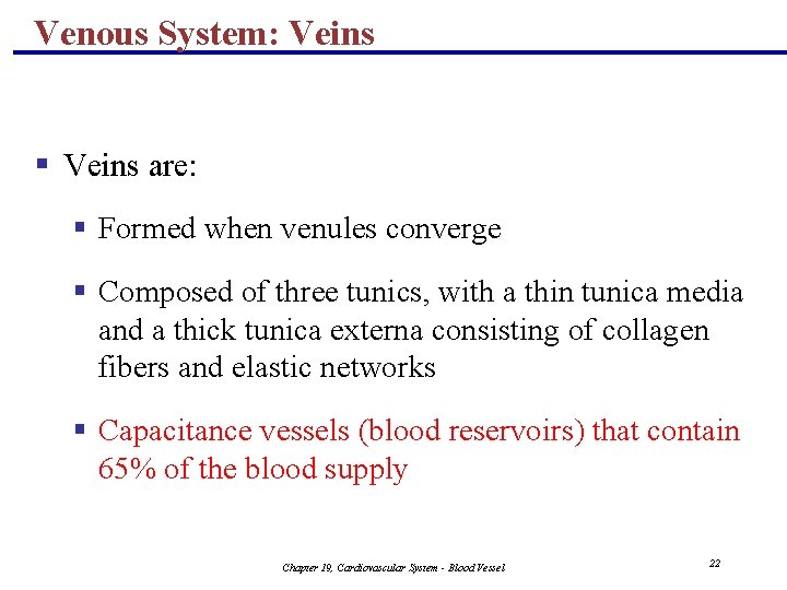 Venous System: Veins § Veins are: § Formed when venules converge § Composed of