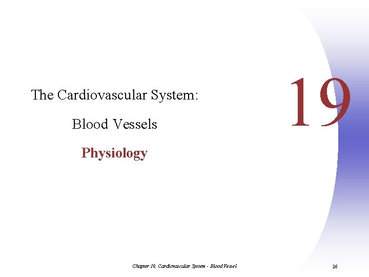 The Cardiovascular System: Blood Vessels 19 Physiology Chapter 19, Cardiovascular System - Blood Vessel