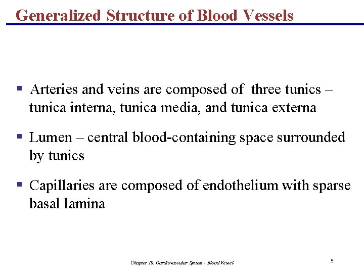 Generalized Structure of Blood Vessels § Arteries and veins are composed of three tunics Generalized Structure of Blood Vessels § Arteries and veins are composed of three tunics