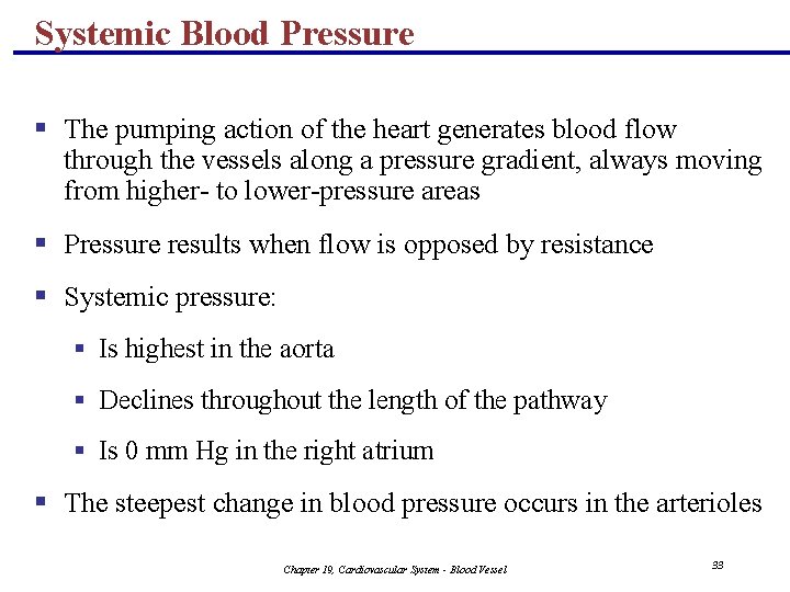 Systemic Blood Pressure § The pumping action of the heart generates blood flow through Systemic Blood Pressure § The pumping action of the heart generates blood flow through