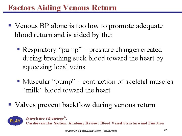 Factors Aiding Venous Return § Venous BP alone is too low to promote adequate