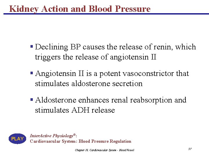 Kidney Action and Blood Pressure § Declining BP causes the release of renin, which