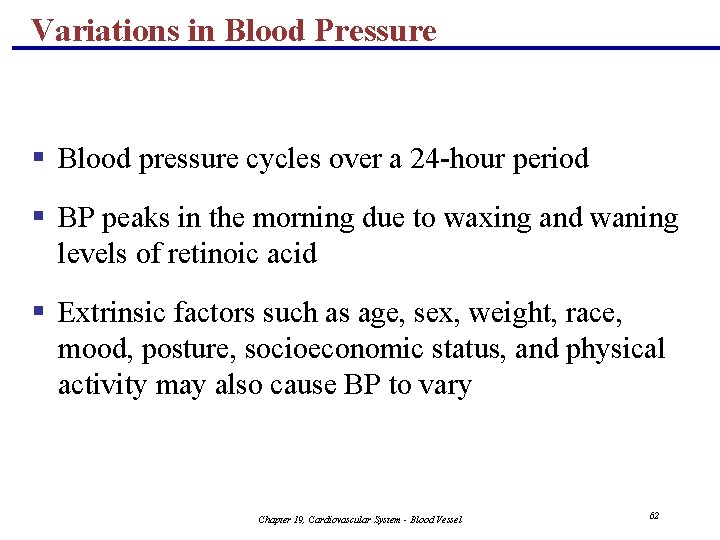 Variations in Blood Pressure § Blood pressure cycles over a 24 -hour period §