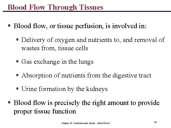 Blood Flow Through Tissues § Blood flow, or tissue perfusion, is involved in: § Blood Flow Through Tissues § Blood flow, or tissue perfusion, is involved in: §