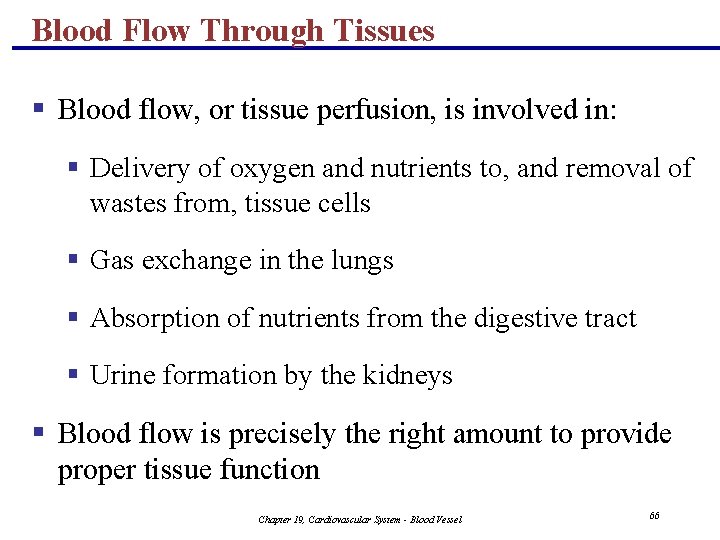 Blood Flow Through Tissues § Blood flow, or tissue perfusion, is involved in: §