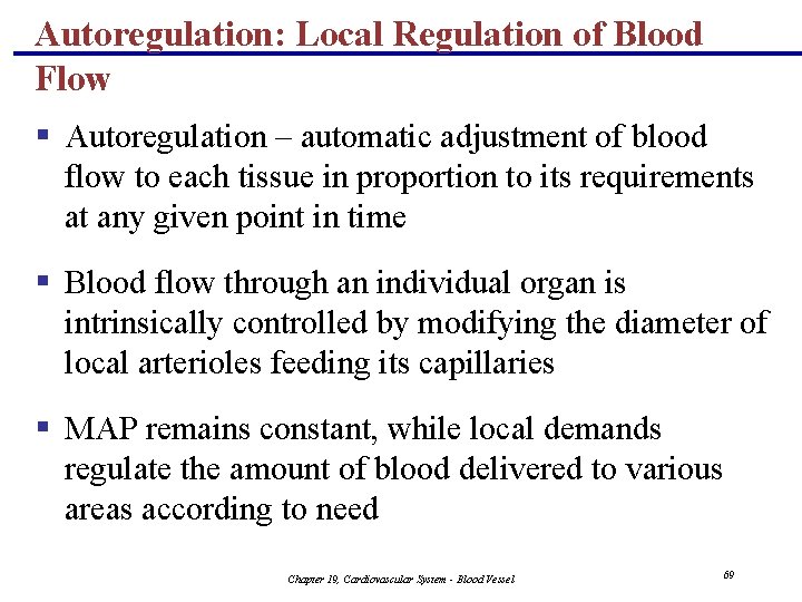 Autoregulation: Local Regulation of Blood Flow § Autoregulation – automatic adjustment of blood flow