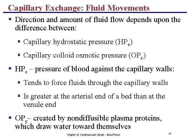 Capillary Exchange: Fluid Movements § Direction and amount of fluid flow depends upon the