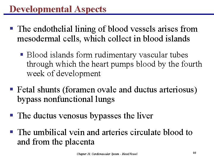 Developmental Aspects § The endothelial lining of blood vessels arises from mesodermal cells, which