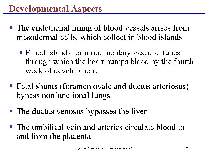 Developmental Aspects § The endothelial lining of blood vessels arises from mesodermal cells, which Developmental Aspects § The endothelial lining of blood vessels arises from mesodermal cells, which