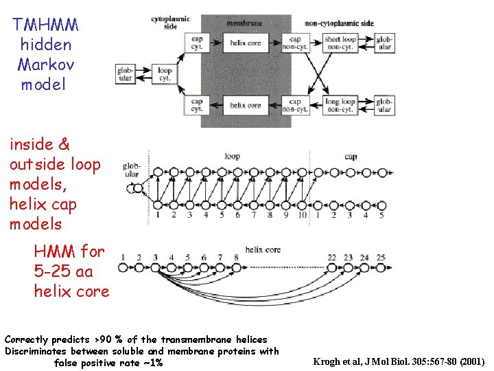 TMHMM hidden Markov model inside & outside loop models, helix cap models HMM for