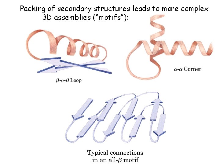 Packing of secondary structures leads to more complex 3 D assemblies (“motifs”): 