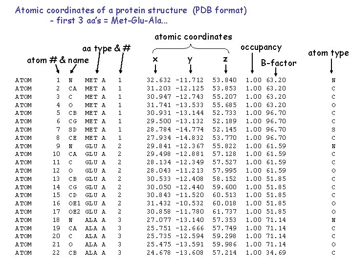 Atomic coordinates of a protein structure (PDB format) - first 3 aa’s = Met-Glu-Ala.