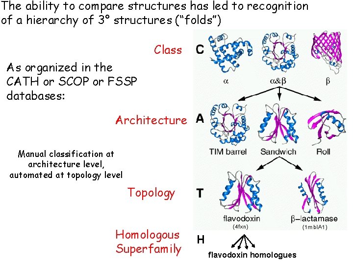 The ability to compare structures has led to recognition of a hierarchy of 3°
