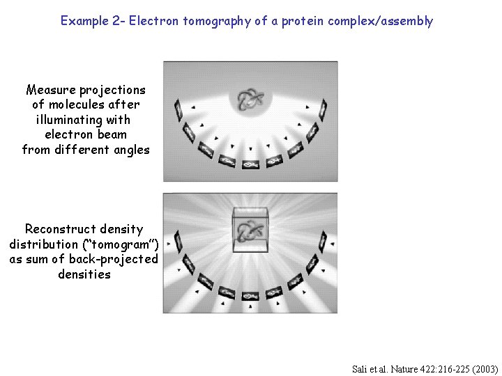Example 2 - Electron tomography of a protein complex/assembly Measure projections of molecules after
