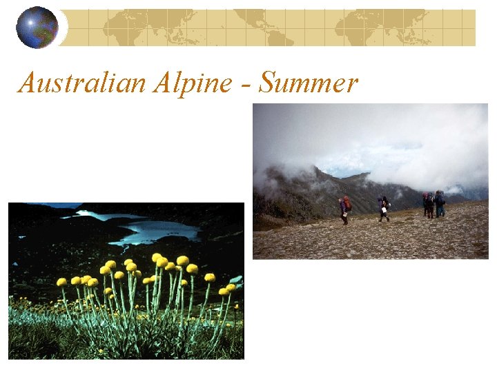 Australian Alpine - Summer 