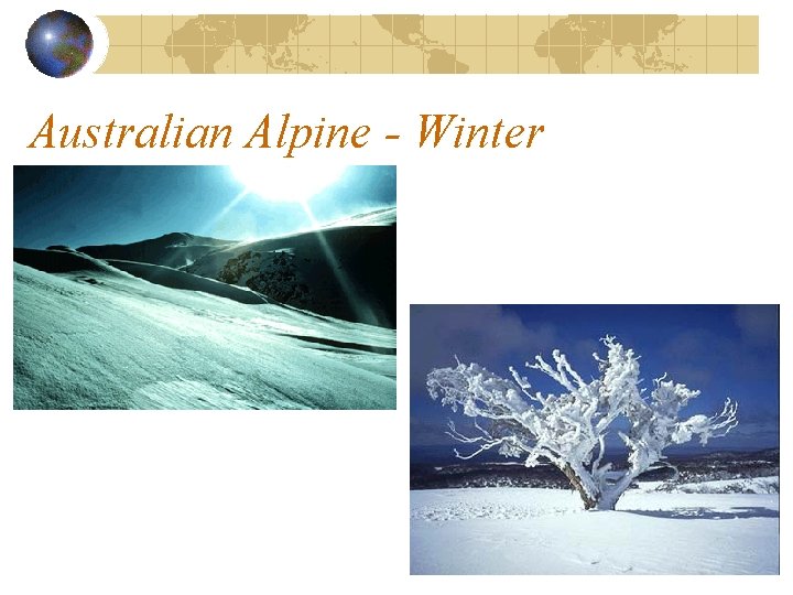 Australian Alpine - Winter 