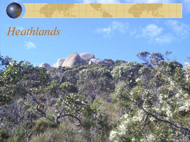 Heathlands 