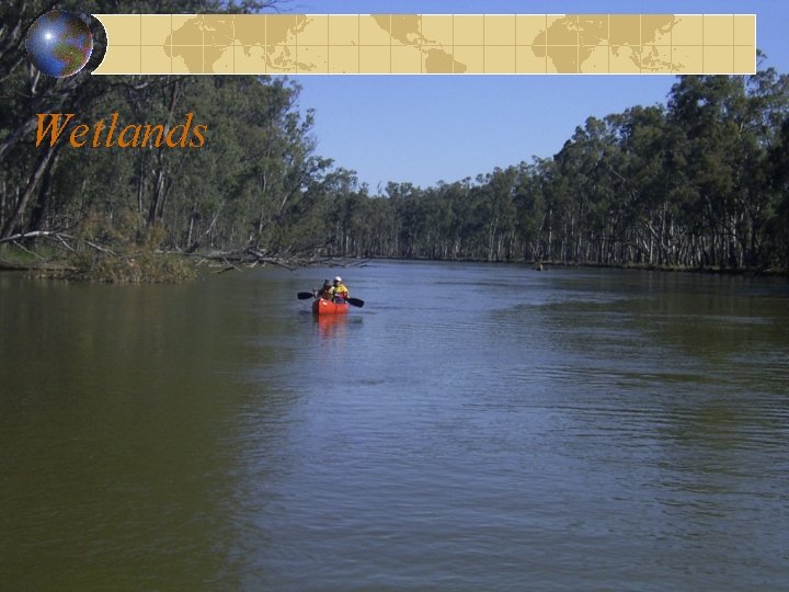 Wetlands 