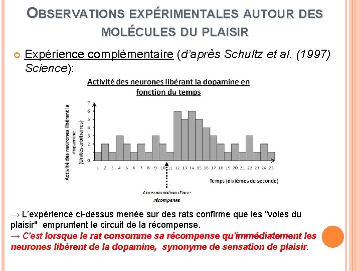 OBSERVATIONS EXPÉRIMENTALES AUTOUR DES MOLÉCULES DU PLAISIR Expérience complémentaire (d’après Schultz et al. (1997)