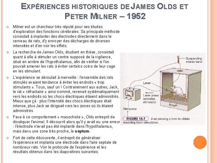 EXPÉRIENCES HISTORIQUES DE JAMES OLDS ET PETER MILNER – 1952 Milner est un chercheur