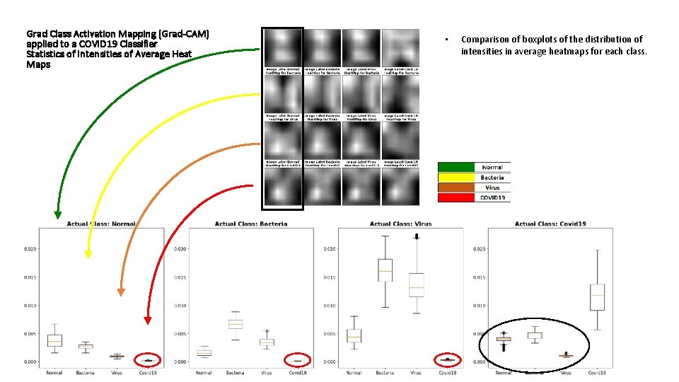 Grad Class Activation Mapping (Grad-CAM) applied to a COVID 19 Classifier Statistics of Intensities