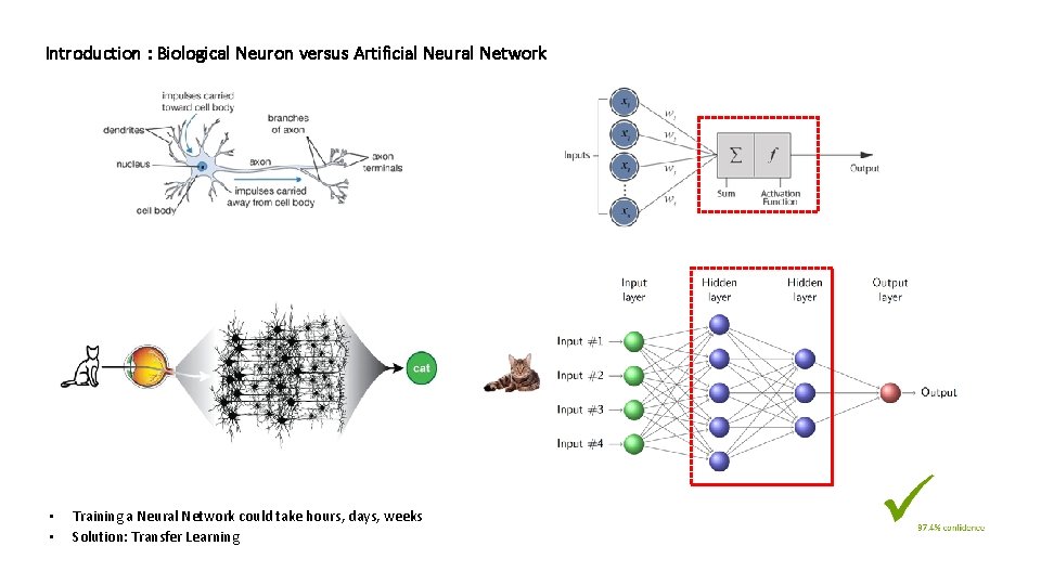 Introduction : Biological Neuron versus Artificial Neural Network • • Training a Neural Network
